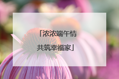 浓浓端午情 共筑幸福家