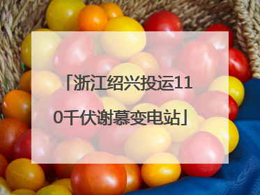 浙江绍兴投运110千伏谢慕变电站