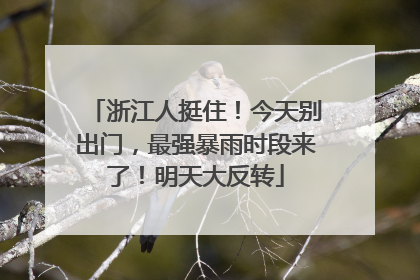 浙江人挺住！今天别出门，最强暴雨时段来了！明天大反转