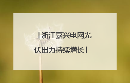 浙江嘉兴电网光伏出力持续增长