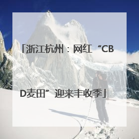 浙江杭州：网红“CBD麦田”迎来丰收季