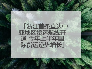 浙江首条直达中亚地区货运航线开通 今年上半年国际货运逆势增长