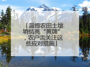 淄博农田土壤墒情亮“黄牌”，农户需关注这些应对措施