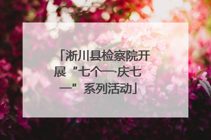 淅川县检察院开展“七个一·庆七一”系列活动