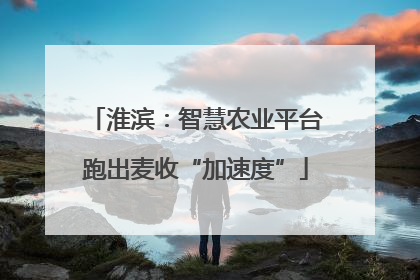 淮滨：智慧农业平台跑出麦收“加速度”