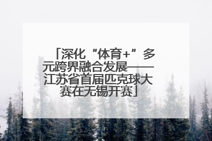深化“体育+”多元跨界融合发展——江苏省首届匹克球大赛在无锡开赛