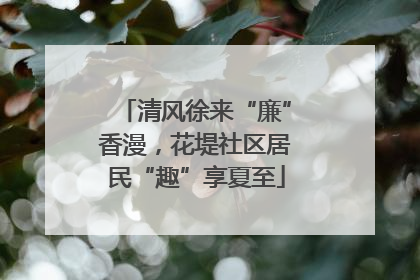 清风徐来“廉”香漫，花堤社区居民“趣”享夏至