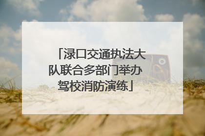渌口交通执法大队联合多部门举办驾校消防演练