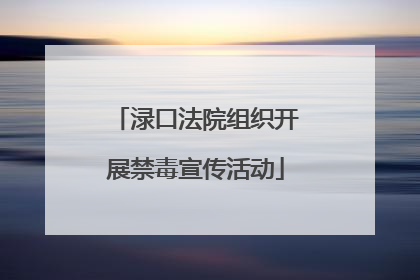 渌口法院组织开展禁毒宣传活动