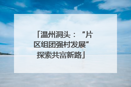 温州洞头：“片区组团强村发展”探索共富新路