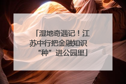 湿地奇遇记！江苏中行把金融知识“种”进公园里
