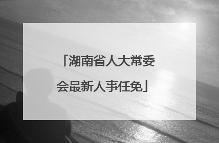 湖南省人大常委会最新人事任免