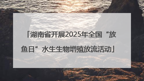 湖南省开展2025年全国“放鱼日”水生生物增殖放流活动
