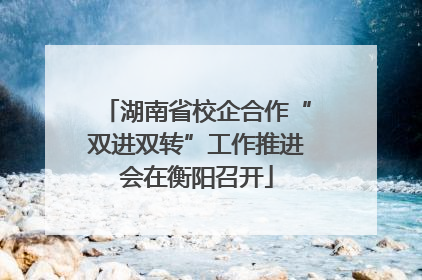 湖南省校企合作“双进双转”工作推进会在衡阳召开