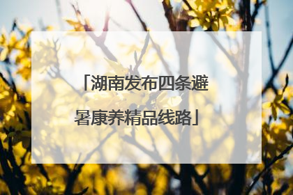 湖南发布四条避暑康养精品线路