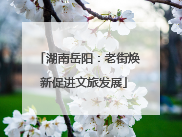 湖南岳阳：老街焕新促进文旅发展