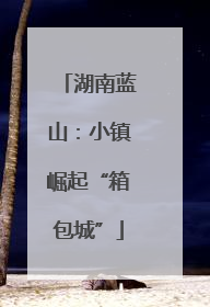 湖南蓝山：小镇崛起“箱包城”