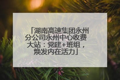 湖南高速集团永州分公司永州中心收费大站：党建+班组，焕发内在活力