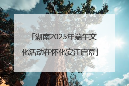 湖南2025年端午文化活动在怀化安江启幕