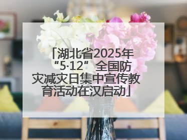 湖北省2025年“5·12”全国防灾减灾日集中宣传教育活动在汉启动