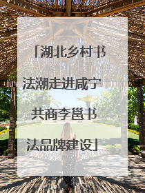 湖北乡村书法潮走进咸宁 共商李邕书法品牌建设