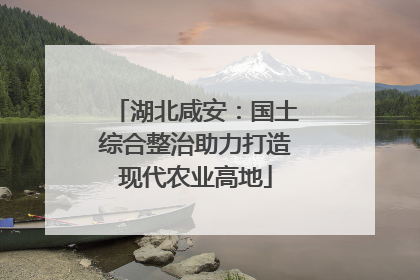湖北咸安：国土综合整治助力打造现代农业高地