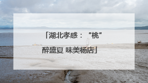 湖北孝感：“桃”醉盛夏 味美杨店