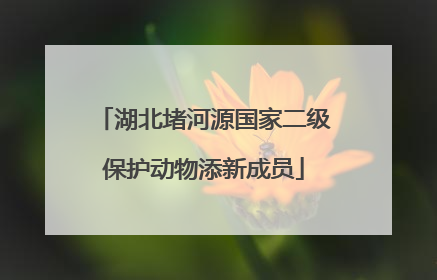 湖北堵河源国家二级保护动物添新成员