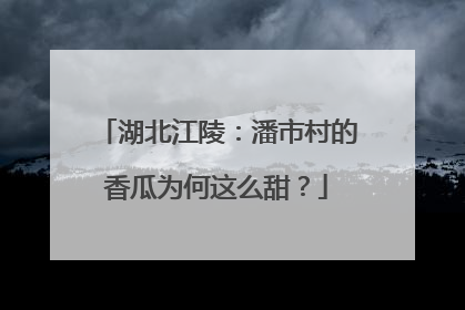 湖北江陵：潘市村的香瓜为何这么甜？