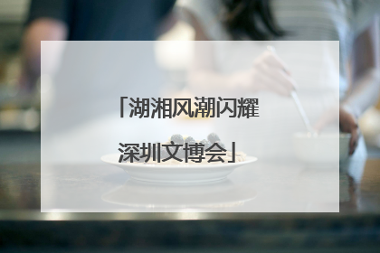湖湘风潮闪耀深圳文博会