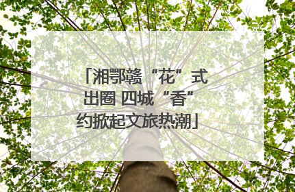 湘鄂赣“花”式出圈 四城“香”约掀起文旅热潮