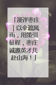 漫评枣庄｜以伞遮风雨，用策引征程，枣庄诚邀英才共赴山海！