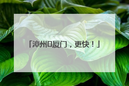 漳州⇋厦门，更快！