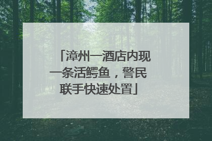 漳州一酒店内现一条活鳄鱼，警民联手快速处置