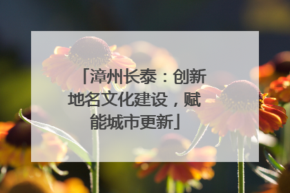 漳州长泰：创新地名文化建设，赋能城市更新