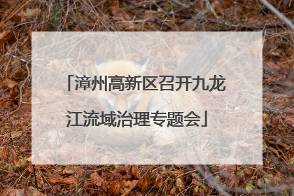 漳州高新区召开九龙江流域治理专题会