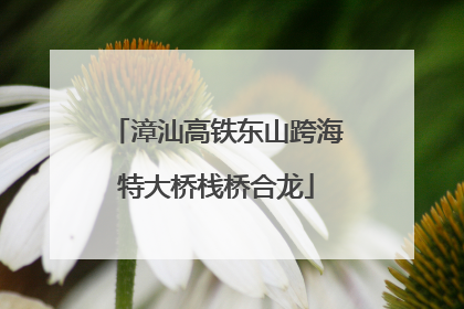 漳汕高铁东山跨海特大桥栈桥合龙