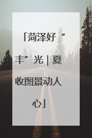 菏泽好“丰”光｜夏收图景动人心