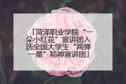 菏泽职业学院“一朵小红花”宣讲团入选全国大学生“两弹一星”精神宣讲团