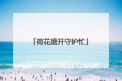 荷花盛开守护忙
