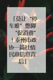 莫让“停车难”蹩脚“促消费”！泰州市政协一篇社情民意信息背后