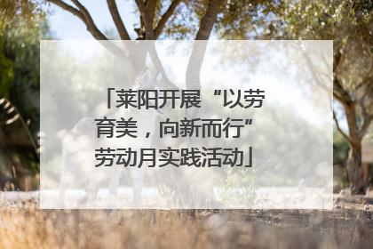 莱阳开展“以劳育美，向新而行”劳动月实践活动