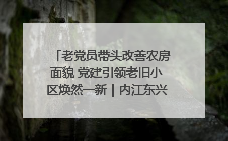 老党员带头改善农房面貌 党建引领老旧小区焕然一新｜内江东兴“红”在哪？④