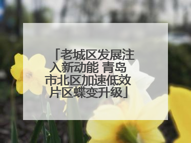 老城区发展注入新动能 青岛市北区加速低效片区蝶变升级