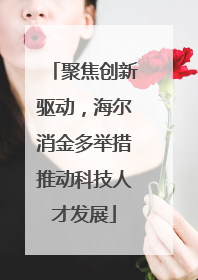 聚焦创新驱动，海尔消金多举措推动科技人才发展