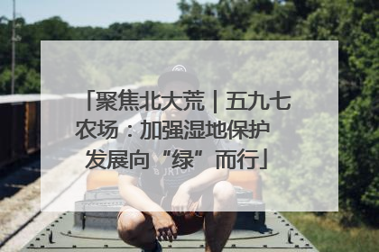 聚焦北大荒｜五九七农场：加强湿地保护 发展向“绿”而行