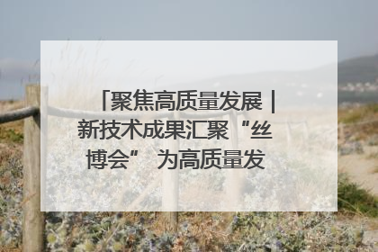聚焦高质量发展｜新技术成果汇聚“丝博会” 为高质量发展注入新动能