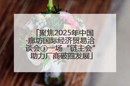 聚焦2025年中国·廊坊国际经济贸易洽谈会③一场“链主会” 助力厂商破圈发展
