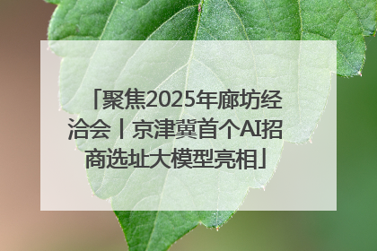 聚焦2025年廊坊经洽会丨京津冀首个AI招商选址大模型亮相