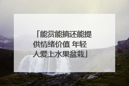 能赏能摘还能提供情绪价值 年轻人爱上水果盆栽